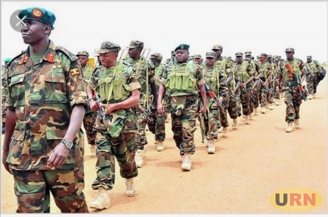 DRC Nationals Praise UPDF Over ADF Raid