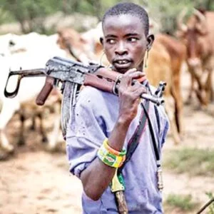 Massive Acquisition Of Over 5000 Hectres Of Land By Suspected Herdsmen In Obingwa LGA Unsettles Community – Traditional Ruler, Raise Alarm 3 20250505055616 1011773547 4950009008150133526 300 300 85 webp